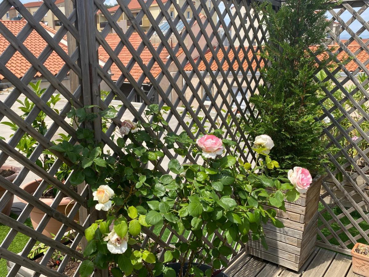 بيربينيو Le Patio Pere Pigne Guestroom المظهر الخارجي الصورة
